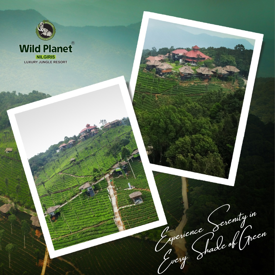 Wayanad Resort Project