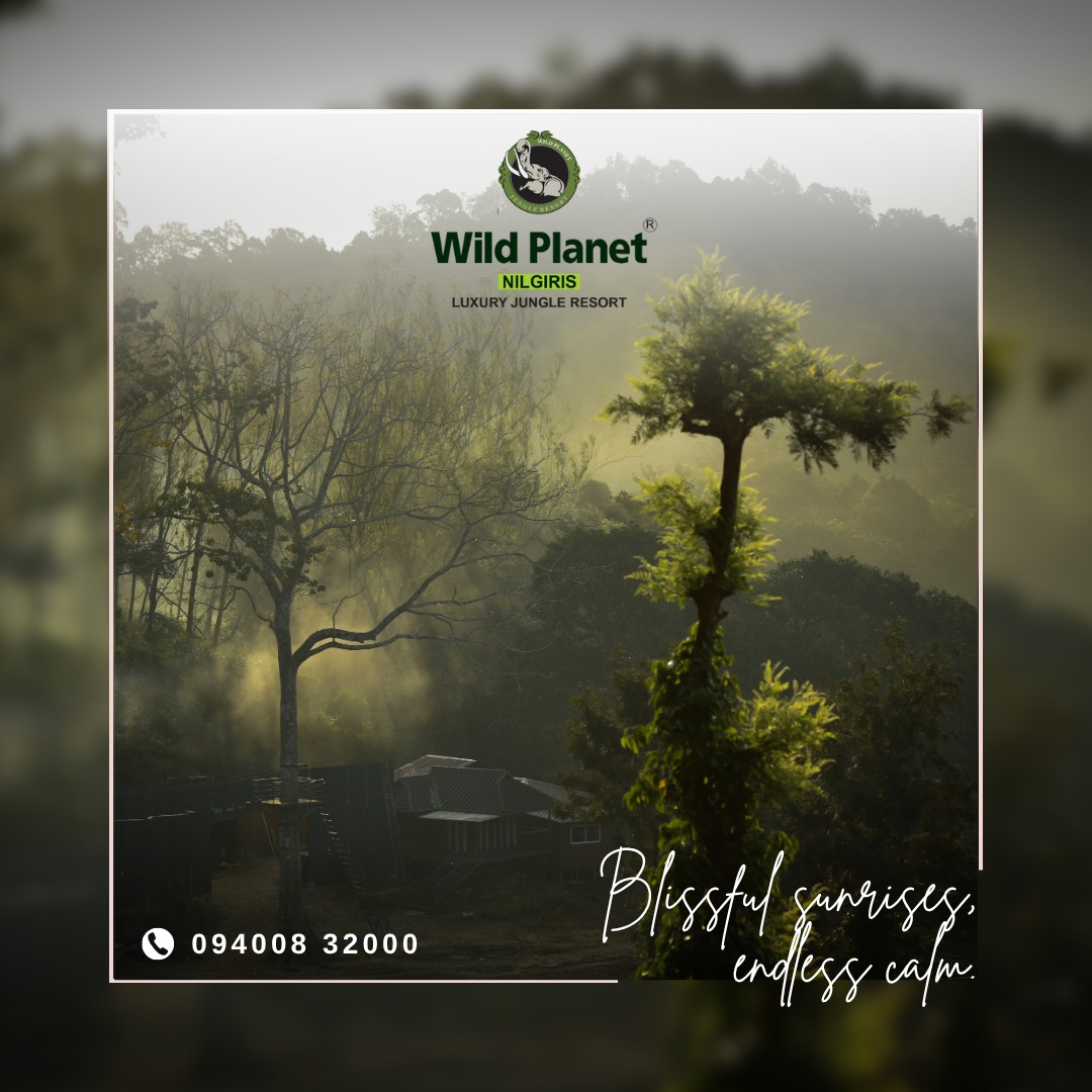 Resort Interior Design