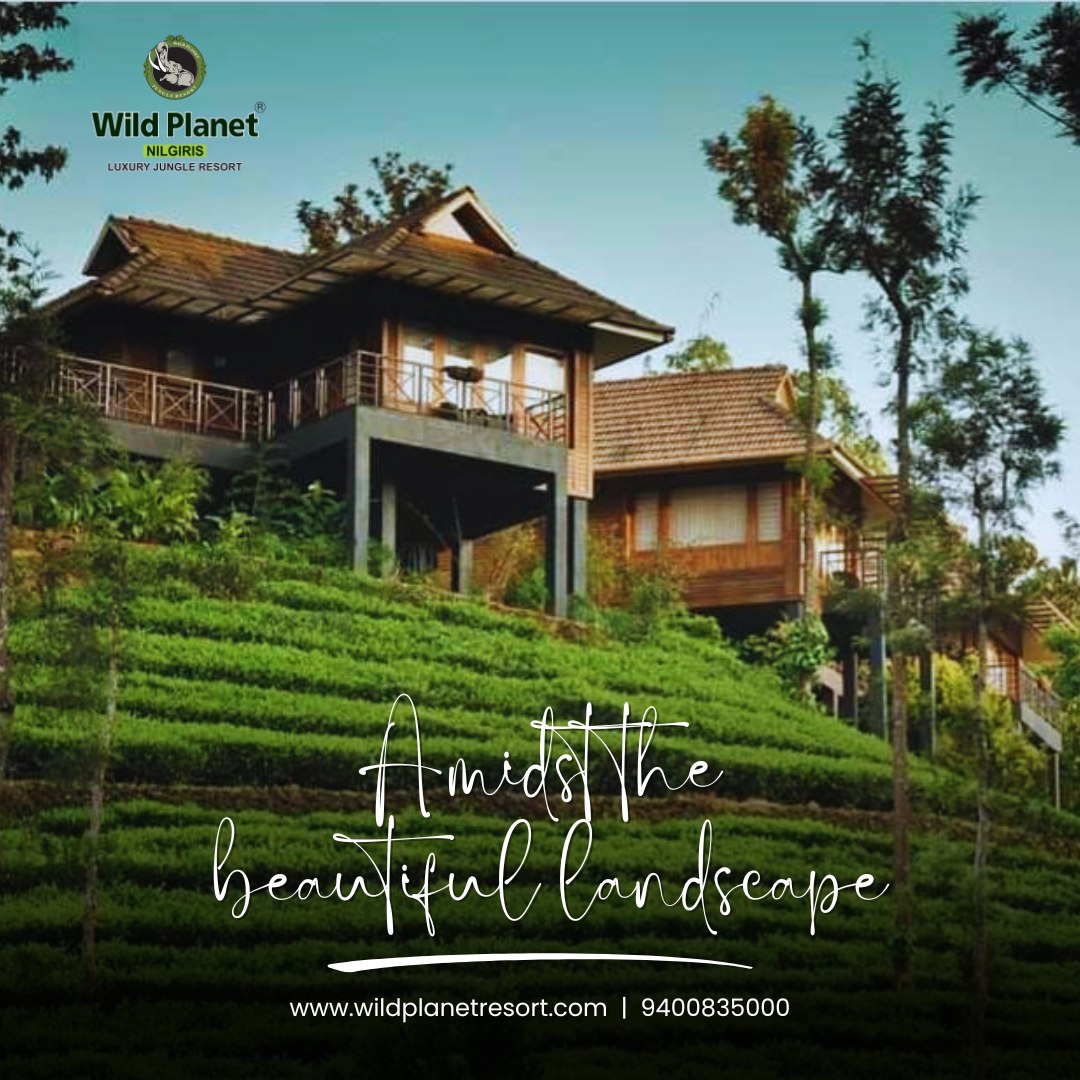 Resort Interior Design