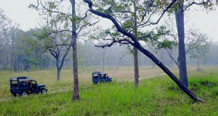 Wayanad Wildlife Sanctuary