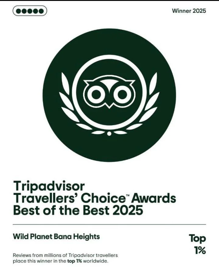 TripAdvisor Best of the Best Award