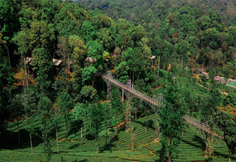 Resort Interior Design